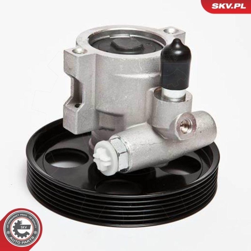 ESEN SKV Hydraulikpumpe, Lenkung 10SKV069