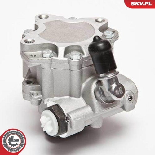 ESEN SKV Hydraulikpumpe, Lenkung 10SKV072