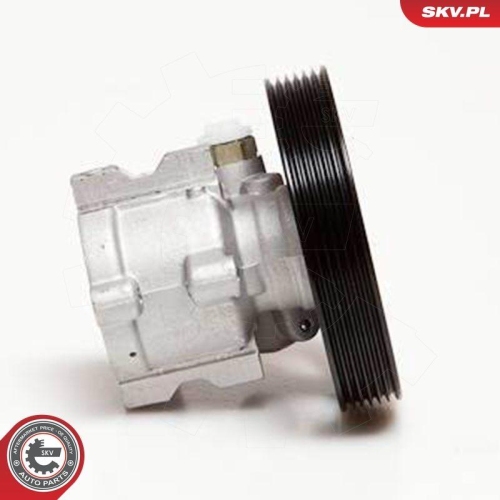 ESEN SKV Hydraulikpumpe, Lenkung 10SKV086