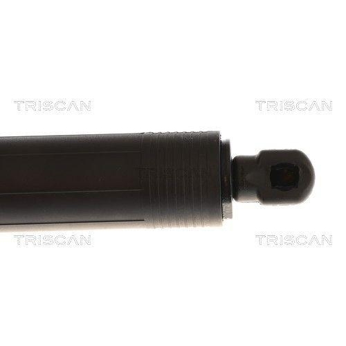 TRISCAN Gasfeder, Koffer-/Laderaum 8710 16317