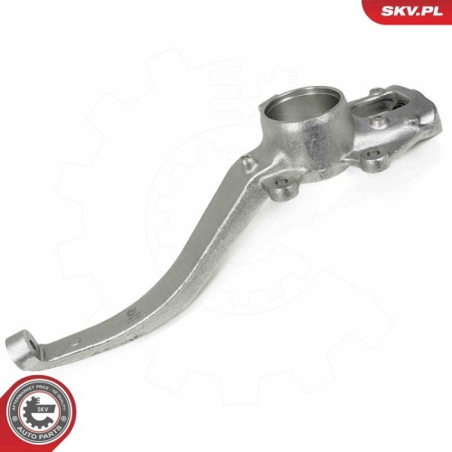 ESEN SKV Achsschenkel, Radaufhängung