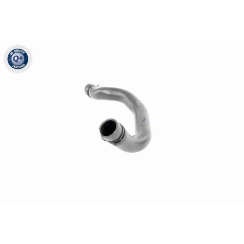 VAICO K&uuml;hlerschlauch Q+, Erstausr&uuml;sterqualit&auml;t V20-3244