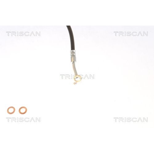 TRISCAN Bremsschlauch 8150 431009