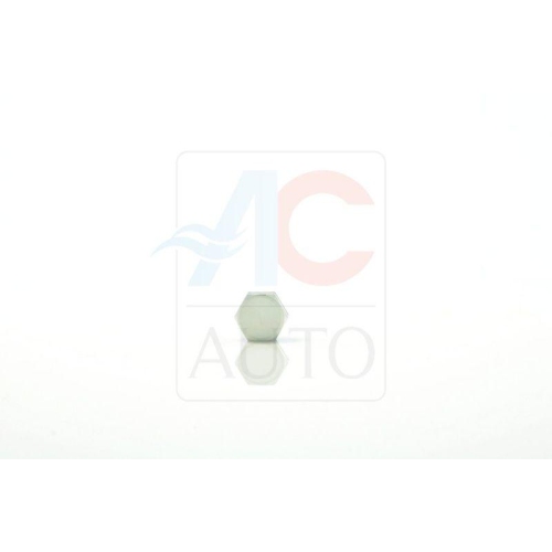 ACAUTO Regelventil, Kompressor AC-02DN28