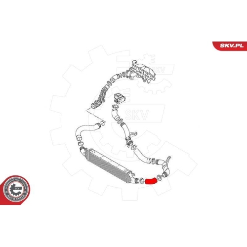 ESEN SKV Ladeluftschlauch 43SKV245