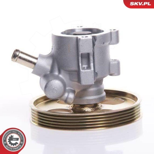 ESEN SKV Hydraulikpumpe, Lenkung 10SKV119