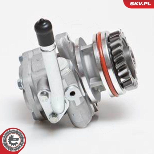 ESEN SKV Hydraulikpumpe, Lenkung 10SKV136