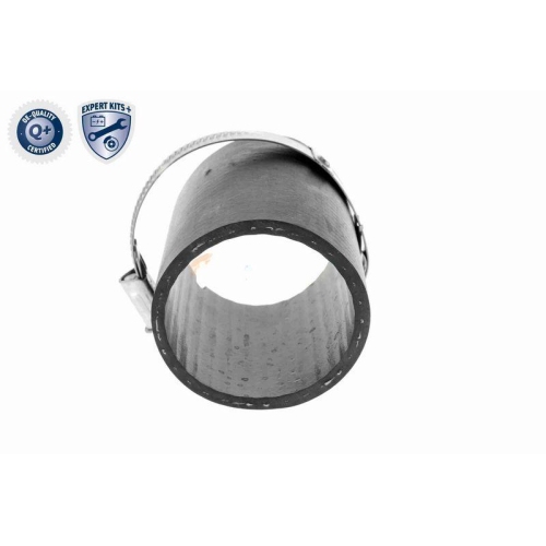 VAICO Ladeluftschlauch EXPERT KITS + V10-3780