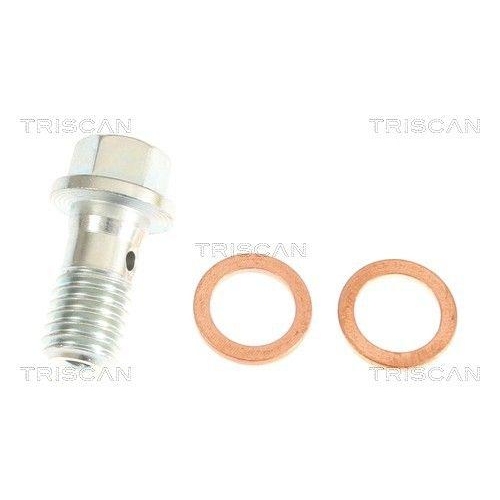 TRISCAN Bremsschlauch 8150 29164