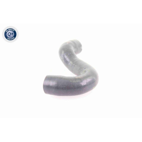 VAICO Ladeluftschlauch Q+, Erstausrüsterqualität V10-3784