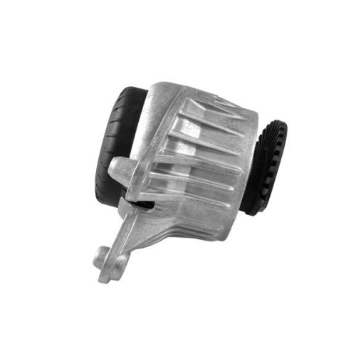 TEDGUM Lagerung, Motor TED99530