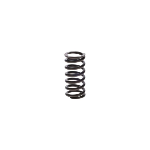 BOSCH Feder 9 411 034 650