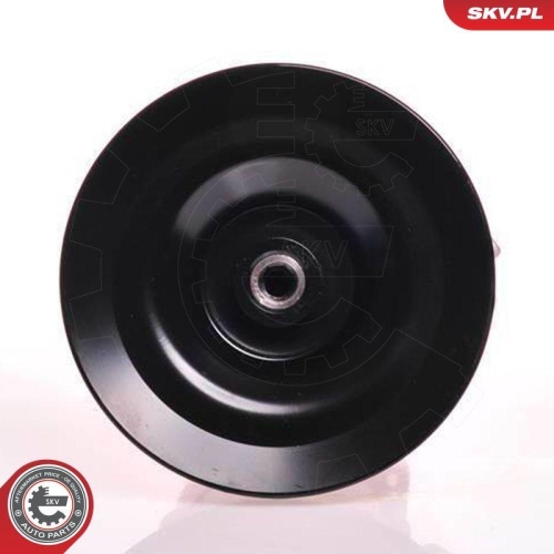 ESEN SKV Hydraulikpumpe, Lenkung 10SKV169