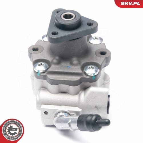 ESEN SKV Hydraulikpumpe, Lenkung 10SKV187