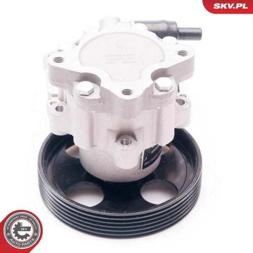 ESEN SKV Hydraulikpumpe, Lenkung 10SKV197