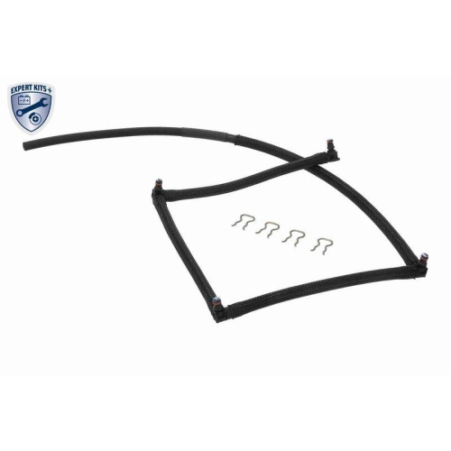 VAICO Schlauch, Leckkraftstoff EXPERT KITS + V22-0809