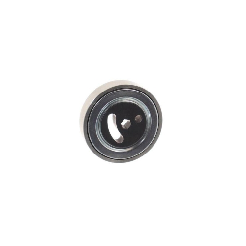 SKF Riemenspanner, Keilrippenriemen VKM 66009