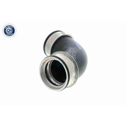 VAICO Ladeluftschlauch Q+, Erstausrüsterqualität V10-3800