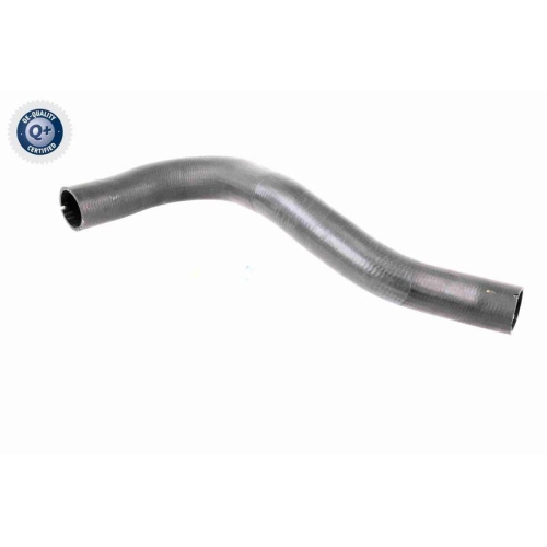 VAICO Ladeluftschlauch Q+, Erstausr&uuml;sterqualit&auml;t V42-0610