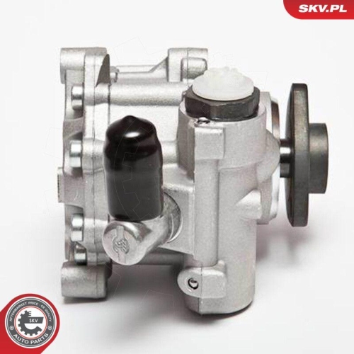 ESEN SKV Hydraulikpumpe, Lenkung 10SKV043