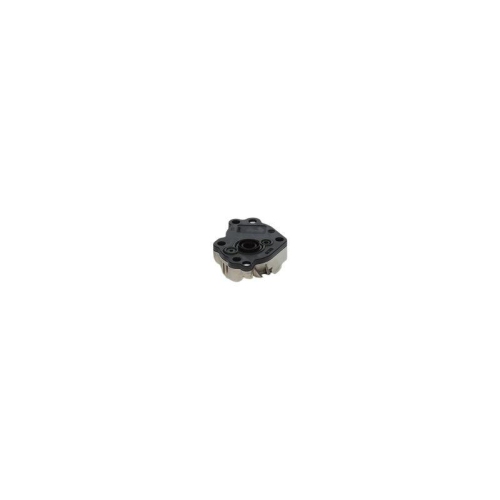 BOSCH Kraftstoffpumpe 0 440 020 053