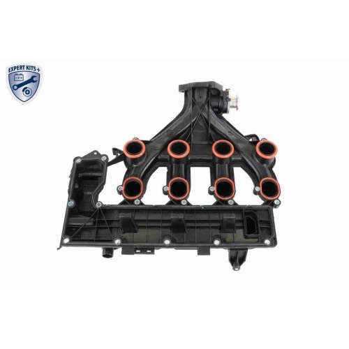 VAICO Zylinderkopfhaube EXPERT KITS + V42-1046