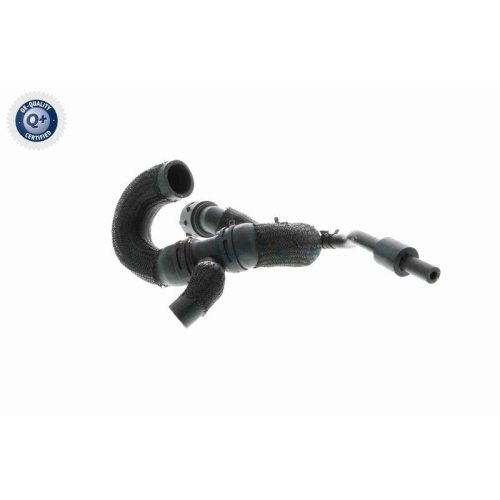 VAICO Kühlerschlauch Q+, Erstausrüsterqualität V10-4288