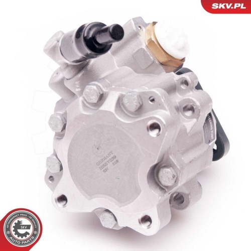 ESEN SKV Hydraulikpumpe, Lenkung 10SKV239