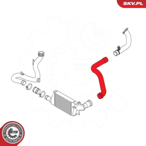 ESEN SKV Ladeluftschlauch 43SKV481