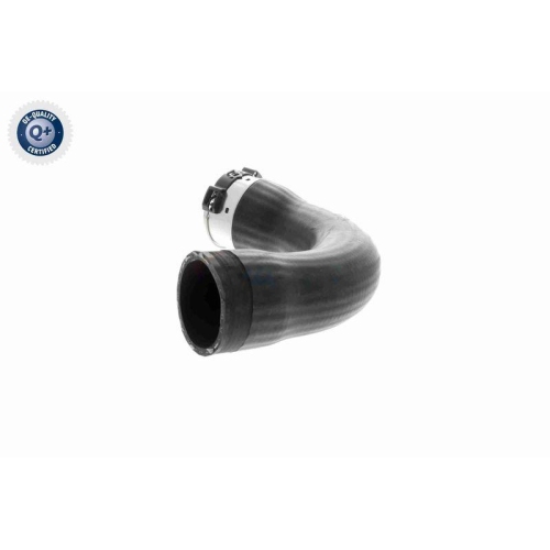 VAICO Ladeluftschlauch Q+, Erstausrüsterqualität V10-4378