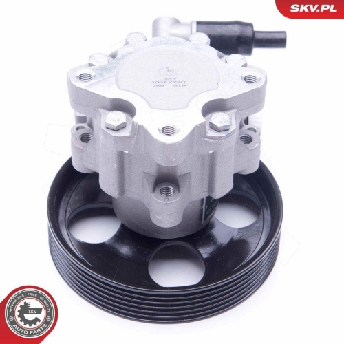 ESEN SKV Hydraulikpumpe, Lenkung 10SKV240