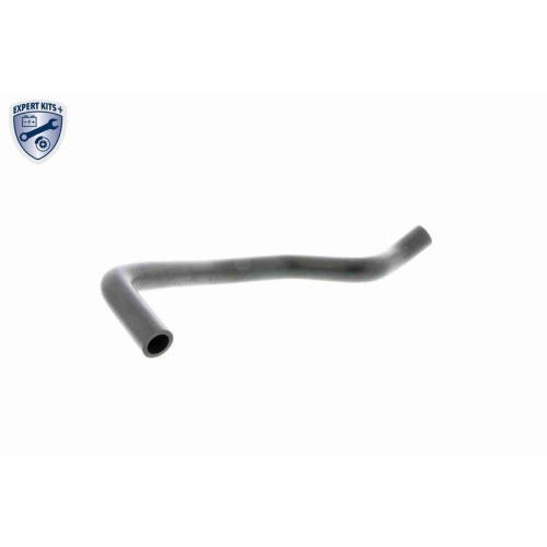 VAICO Reparatursatz, Kurbelgehäuseentlüftung EXPERT KITS + V20-0006