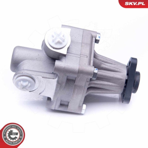 ESEN SKV Hydraulikpumpe, Lenkung 10SKV245