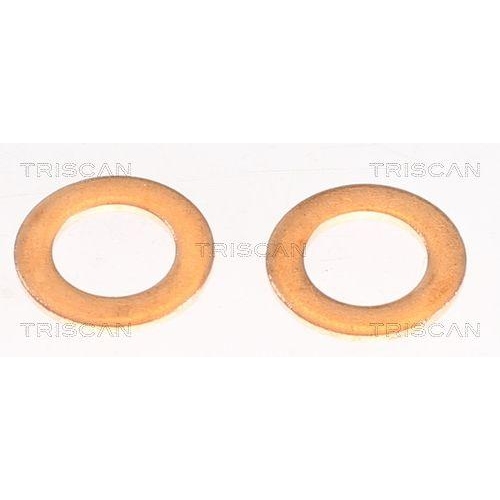 TRISCAN Bremsschlauch 8150 132024