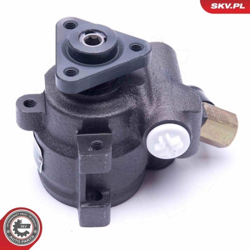 ESEN SKV Hydraulikpumpe, Lenkung 10SKV259