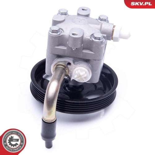 ESEN SKV Hydraulikpumpe, Lenkung 10SKV268