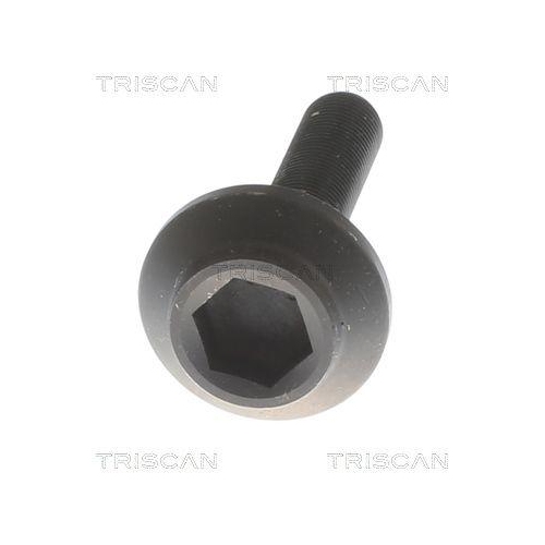 TRISCAN Antriebswelle