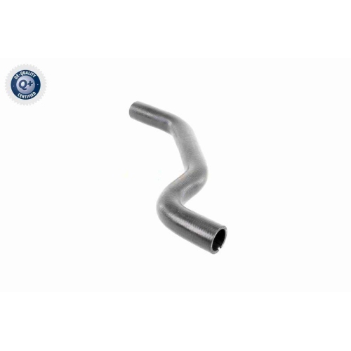 VAICO K&uuml;hlerschlauch Q+, Erstausr&uuml;sterqualit&auml;t V46-0901