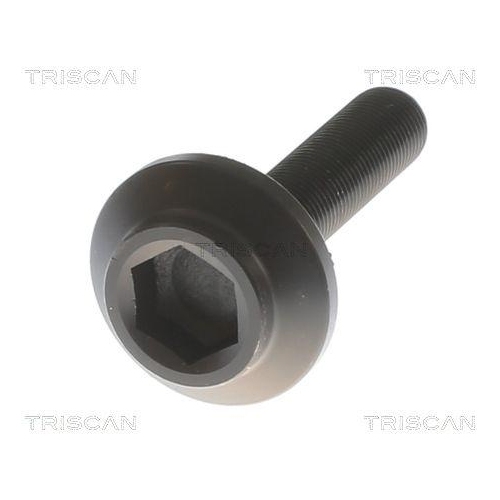 TRISCAN Antriebswelle