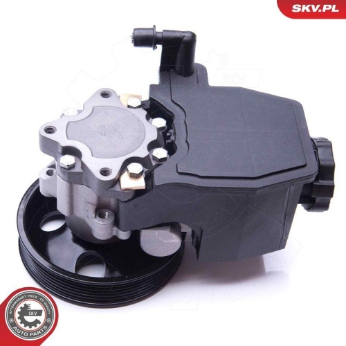 ESEN SKV Hydraulikpumpe, Lenkung 10SKV269