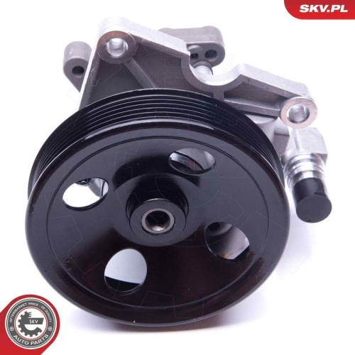 ESEN SKV Hydraulikpumpe, Lenkung 10SKV270