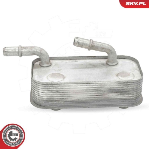 ESEN SKV &Ouml;lk&uuml;hler, Motor&ouml;l 31SKV281