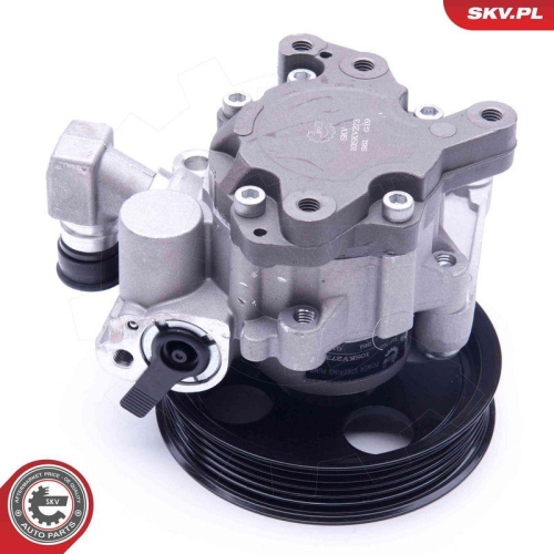 ESEN SKV Hydraulikpumpe, Lenkung 10SKV273