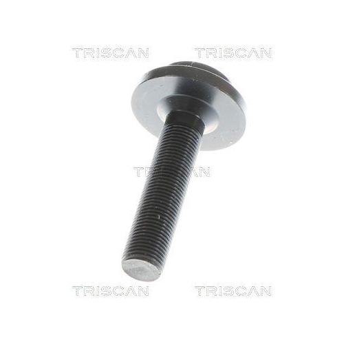 TRISCAN Antriebswelle 8540 297042