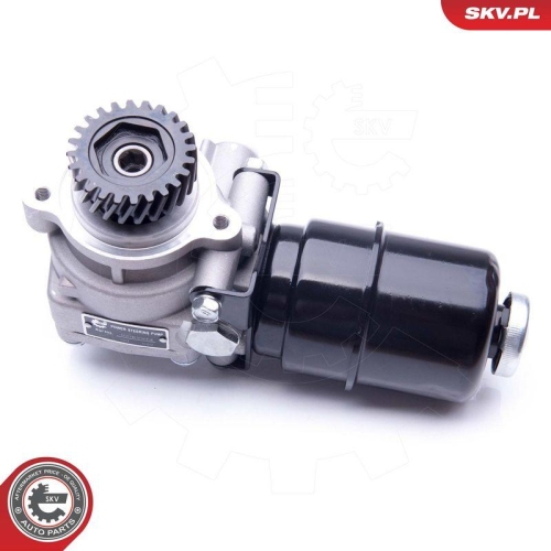 ESEN SKV Hydraulikpumpe, Lenkung 10SKV274