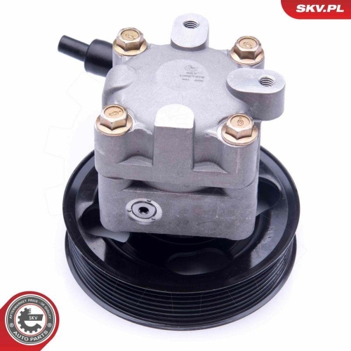 ESEN SKV Hydraulikpumpe, Lenkung 10SKV275