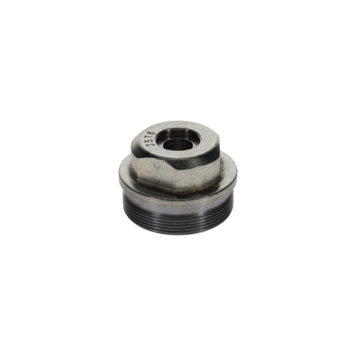 BOSCH Schraube F 002 D13 576