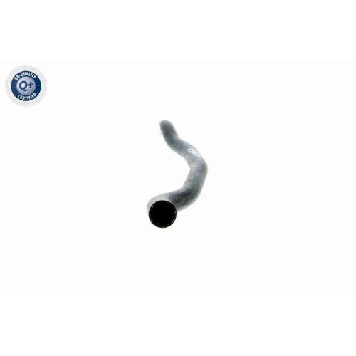 VAICO Kühlerschlauch Q+, Erstausrüsterqualität V20-1648