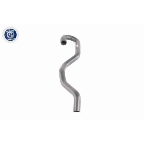 VAICO Kühlerschlauch Q+, Erstausrüsterqualität V20-1654