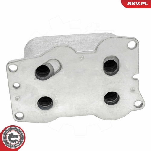 ESEN SKV &Ouml;lk&uuml;hler, Motor&ouml;l 31SKV382